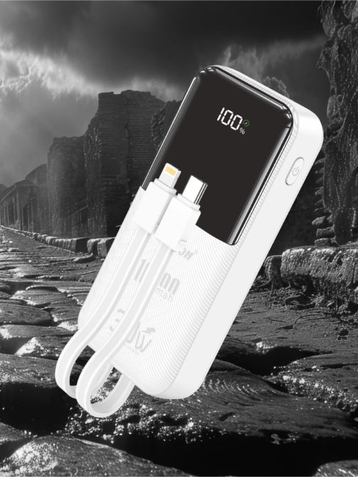 WEB POWER BANK 2025-07 PD-209